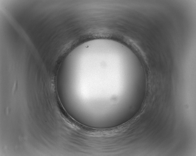 X0000062140017200512091029