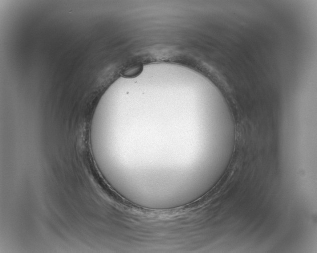 X0000062140018200512091029