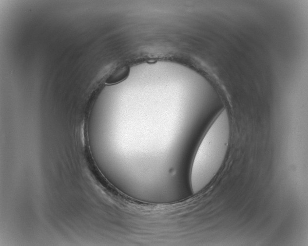 X0000062140019200512091029