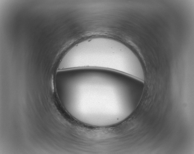 X0000062140020200512091029