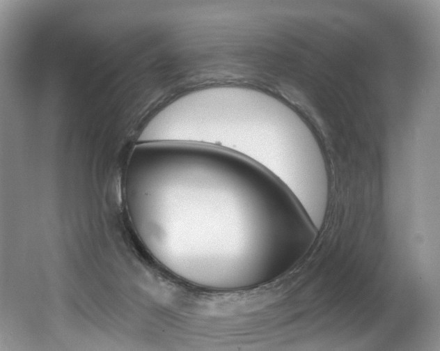 X0000062140021200512091029