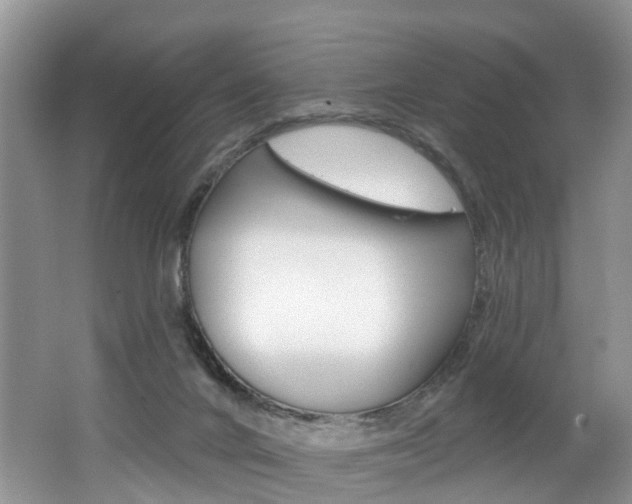 X0000062140024200512091029