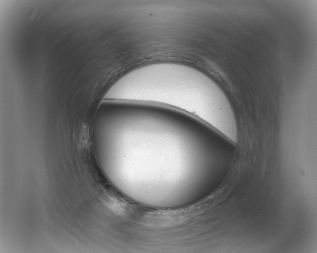 X0000062140025200512091029