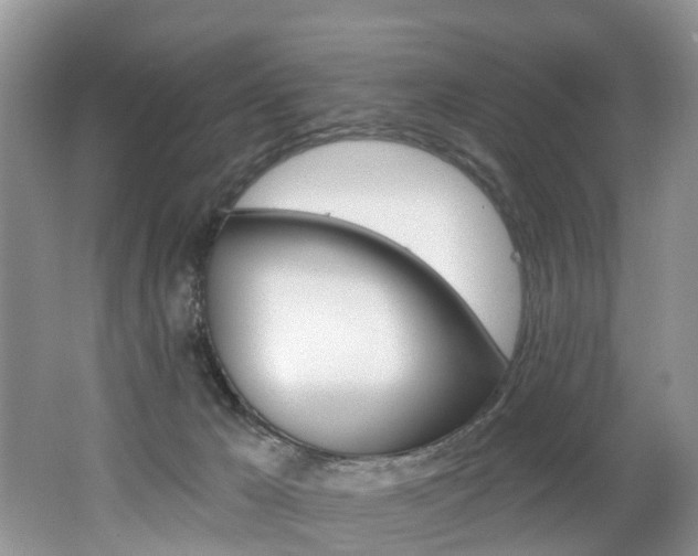 X0000062140029200512091028