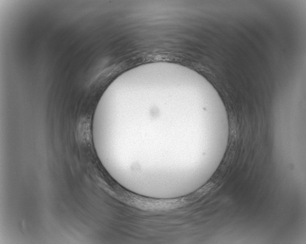 X0000062140036200512091028