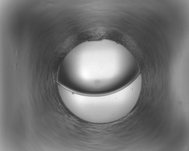 X0000062140037200512091028