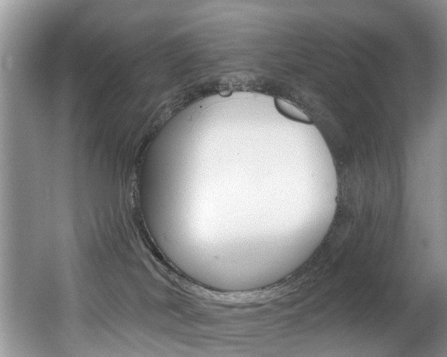 X0000062140038200512091028