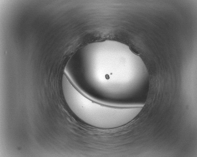 X0000062140039200512091028