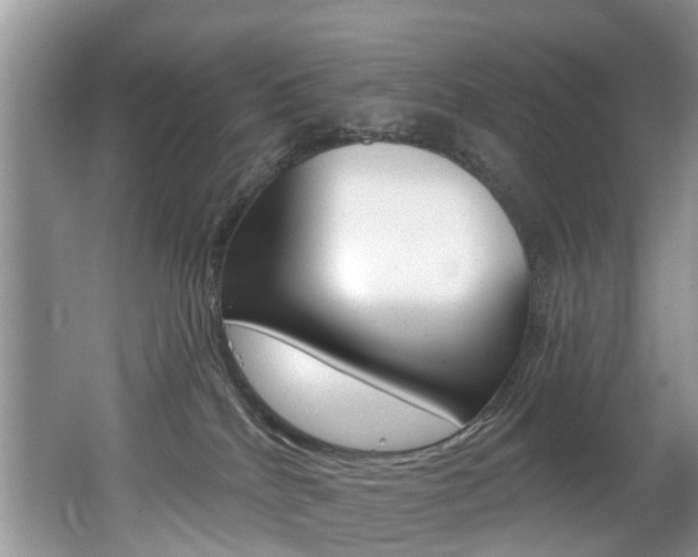 X0000062140040200512091028