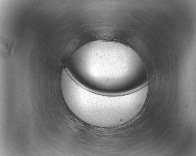 X0000062140041200512091028