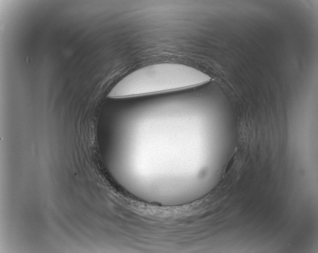 X0000062140043200512091028