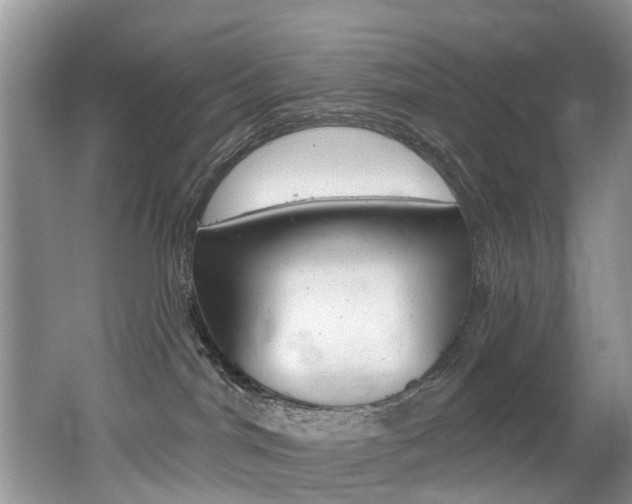 X0000062140044200512091028