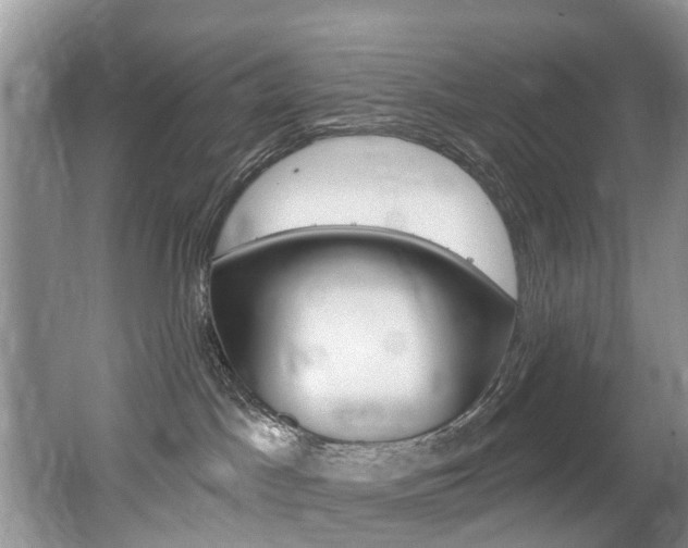 X0000062140045200512091028