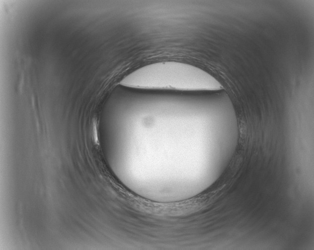 X0000062140046200512091028