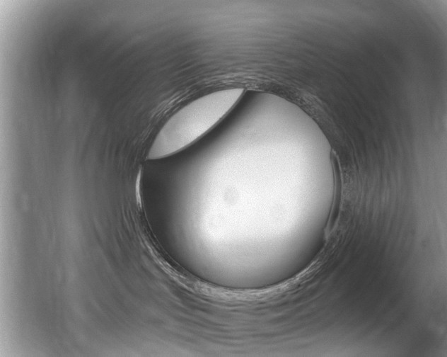 X0000062140047200512091028