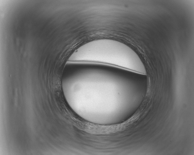 X0000062140048200512091028