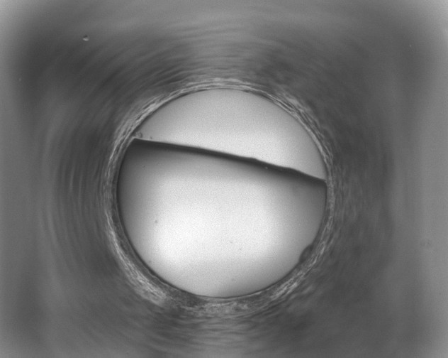 X0000062140049200512091027