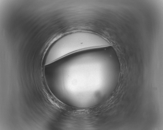 X0000062140050200512091027