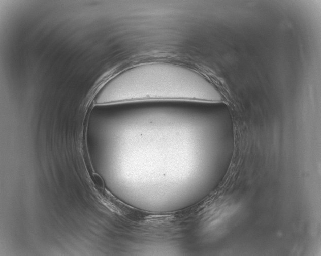 X0000062140051200512091027