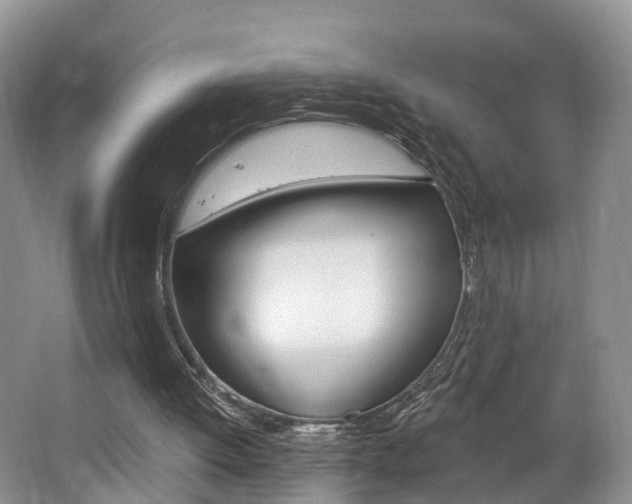 X0000062140052200512091027