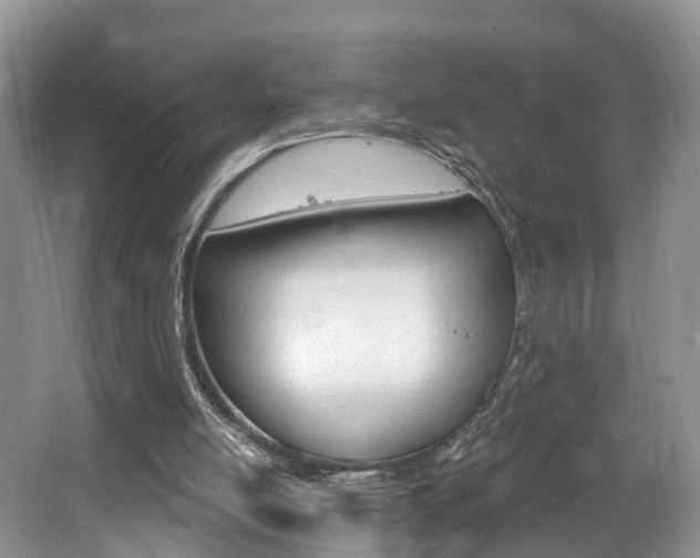 X0000062140054200512091027