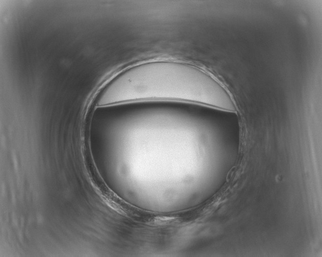 X0000062140055200512091027