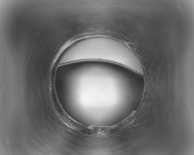 X0000062140056200512091027