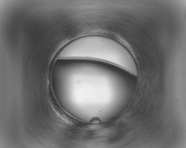 X0000062140059200512091027