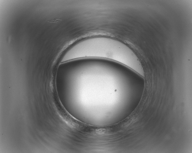 X0000062140064200512091028