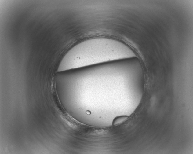 X0000062140065200512091028