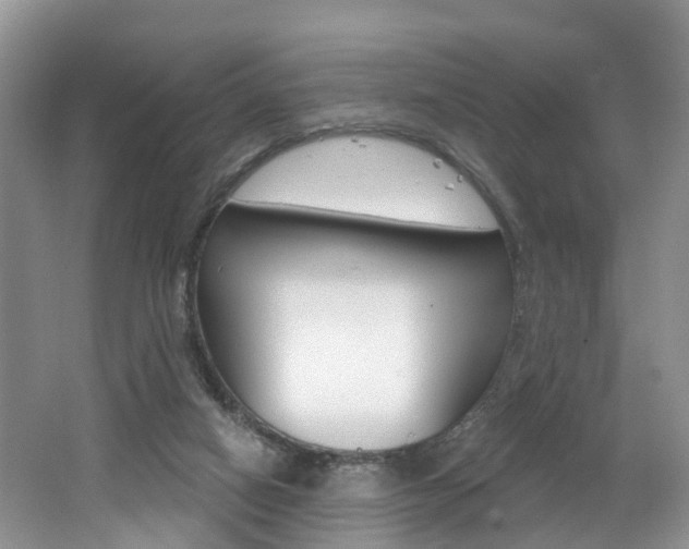 X0000062140066200512091028