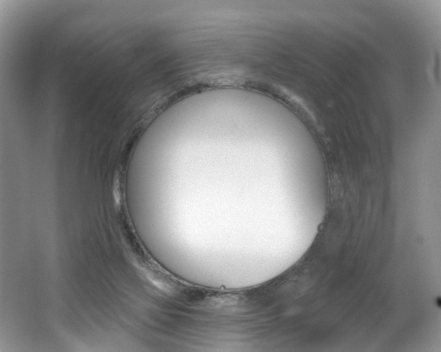 X0000062140069200512091028