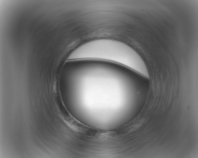 X0000062140072200512091028