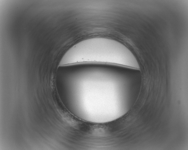 X0000062140073200512091028