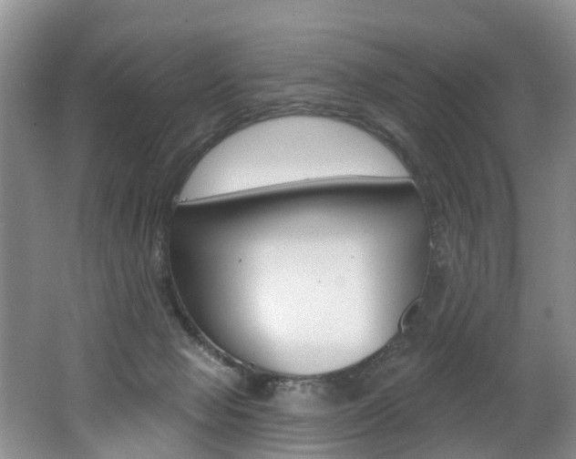 X0000062140077200512091028