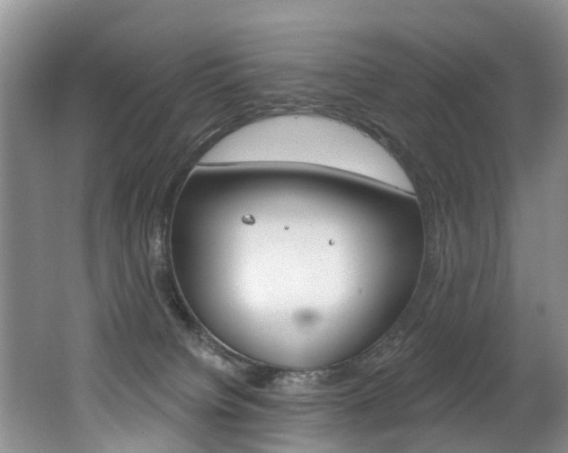 X0000062140084200512091028