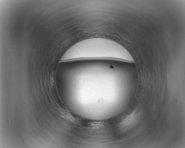 X0000062140085200512091028