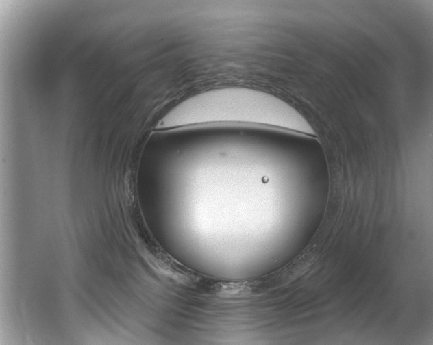 X0000062140088200512091028