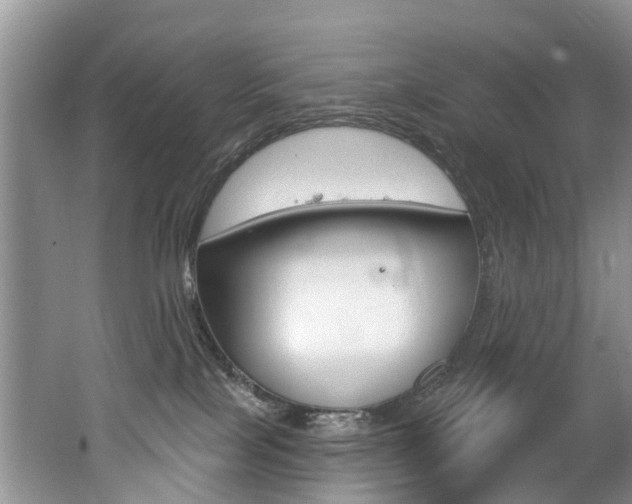 X0000062140089200512091028