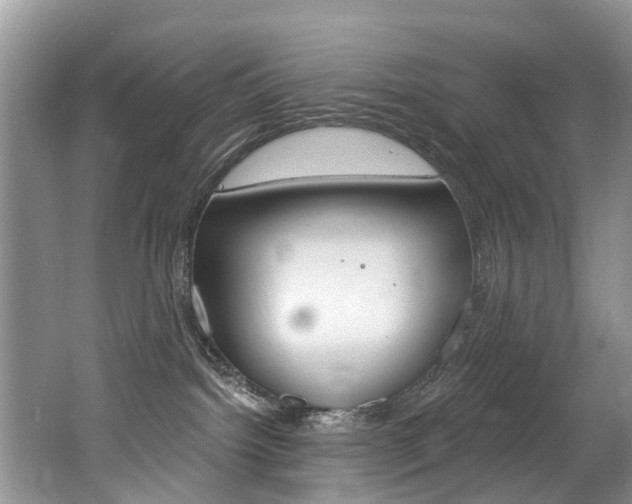 X0000062140092200512091028