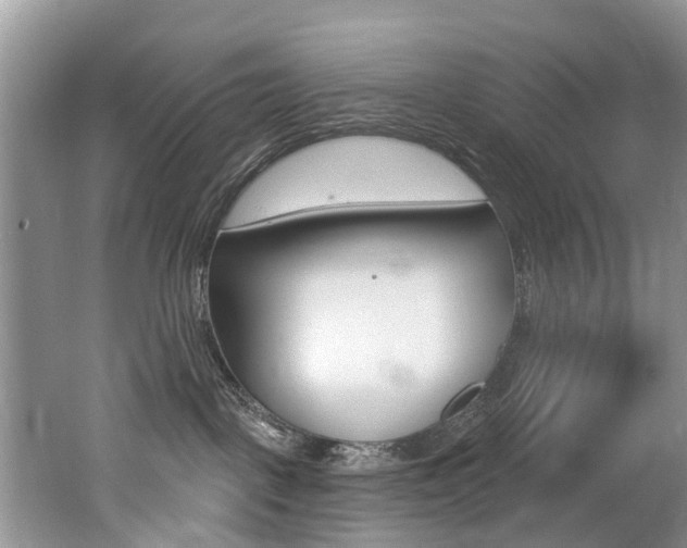 X0000062140093200512091028