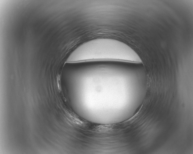 X0000062140094200512091028