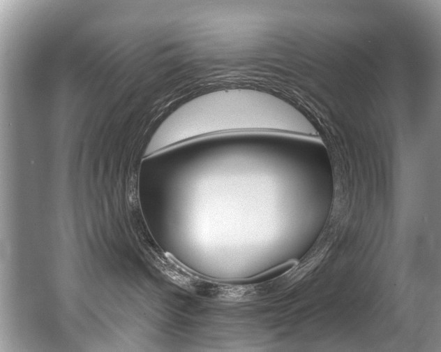 X0000062140096200512091028