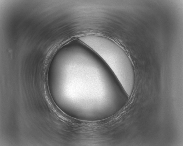 X0000062140097200512091027