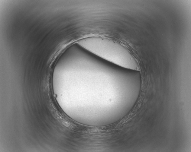 X0000062140098200512091027