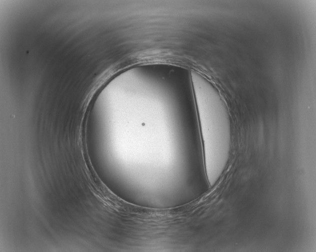 X0000062140099200512091027