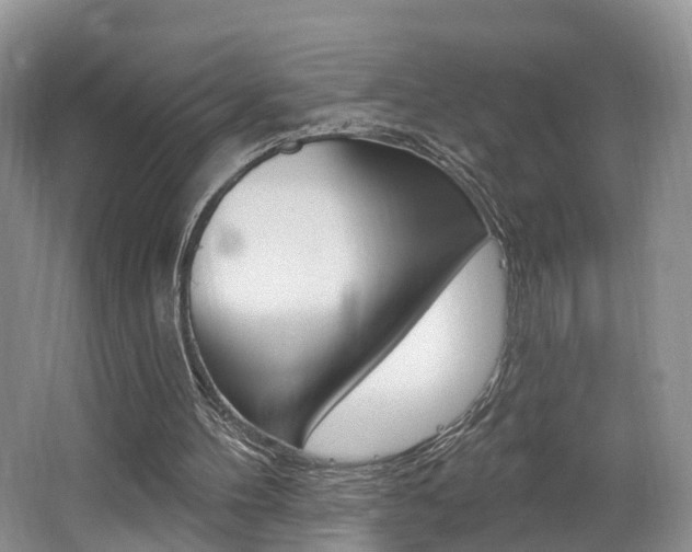 X0000062140100200512091027