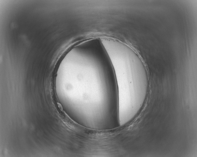 X0000062140103200512091027