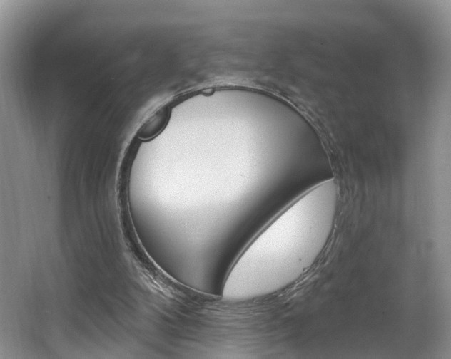 X0000062140104200512091027