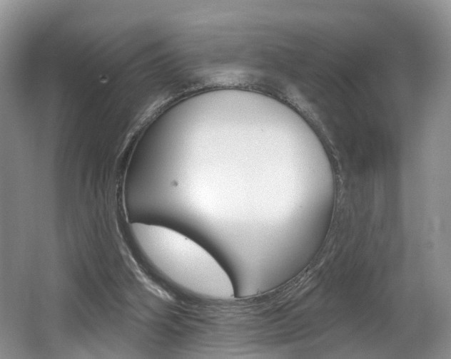 X0000062140106200512091027